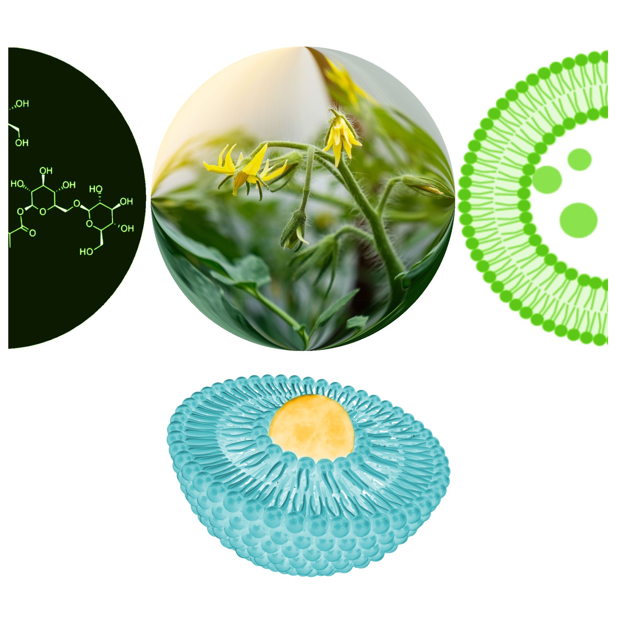 I+D en formulación de nanotecnología